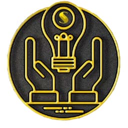 SE Electronics Logo